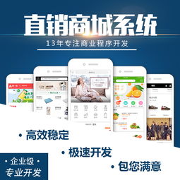 軟件開發與供應 批發合作模式探析